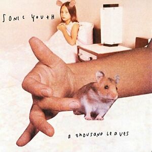 "A Thousand Leaves" by Sonic Youth (1998)