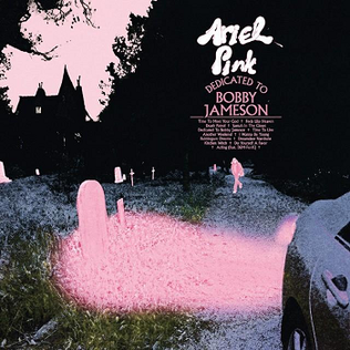 Ariel Pink "Dedicated To Bobby Jameson"