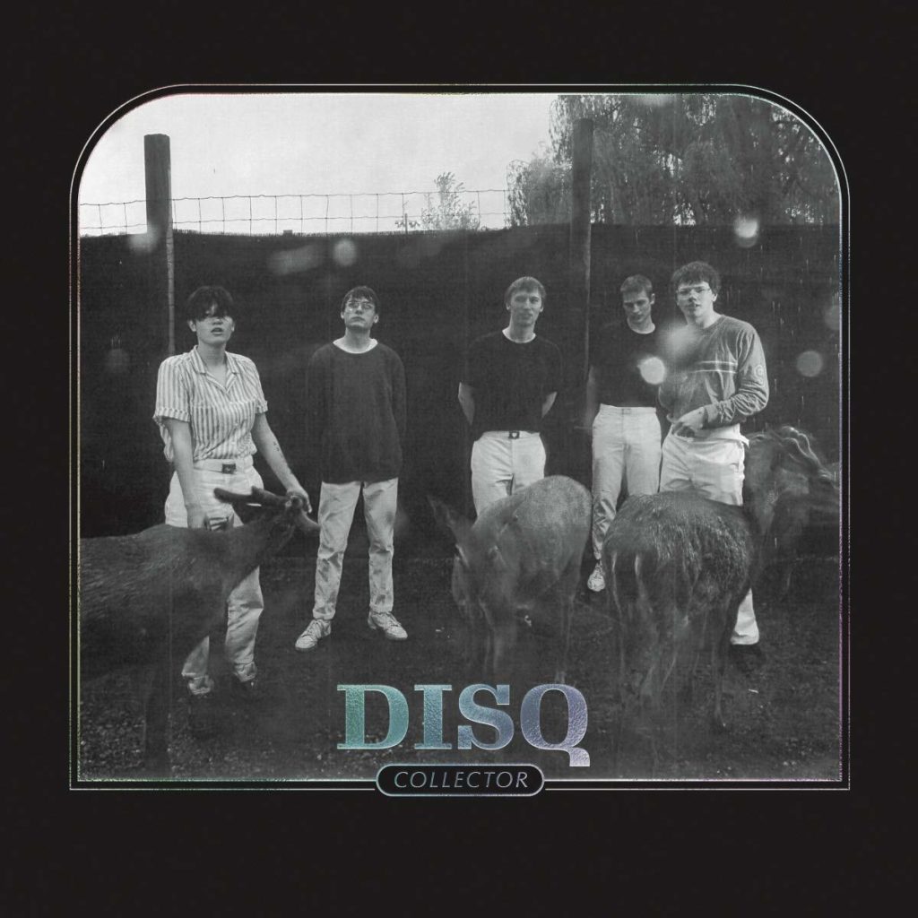 DISQ "Collector"