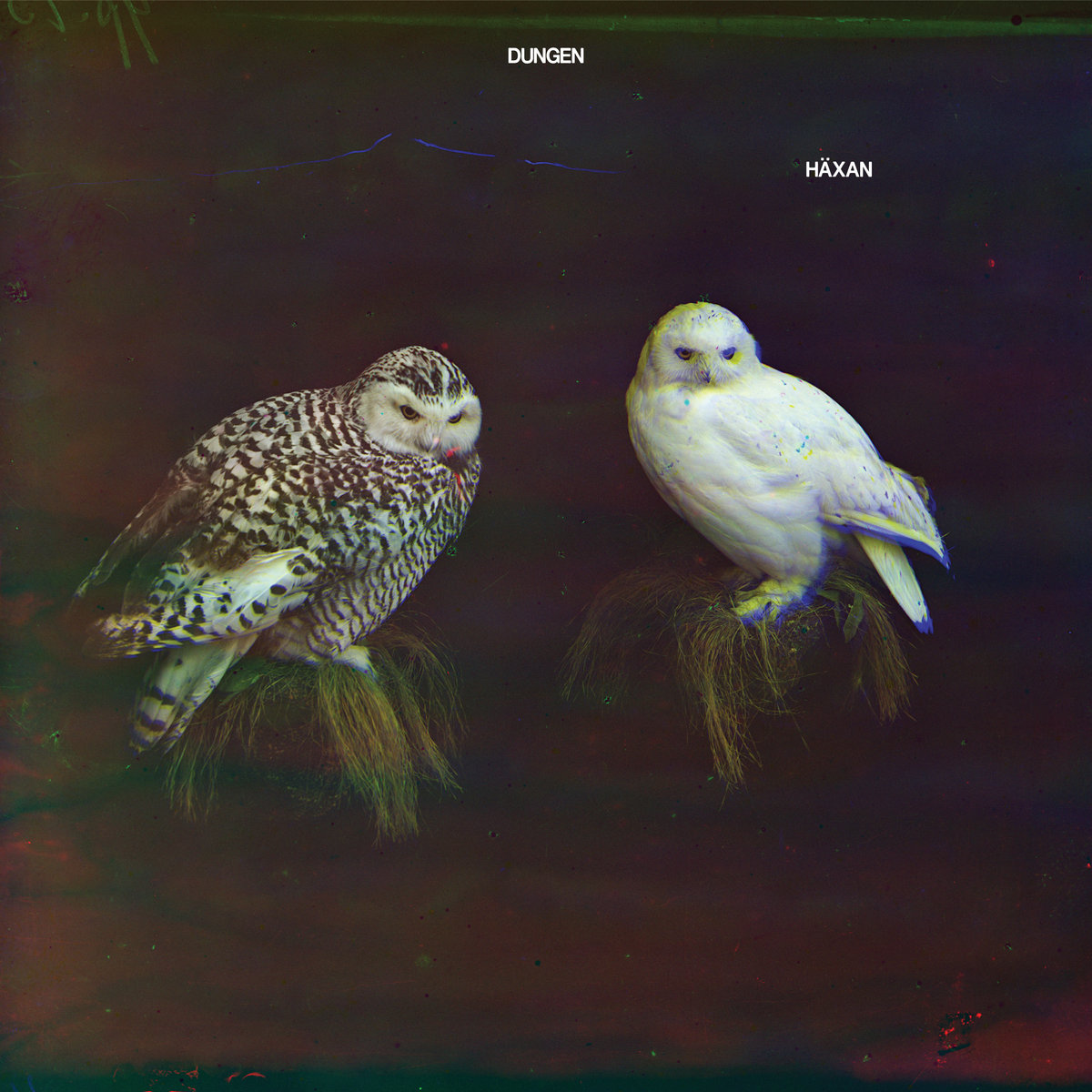 Dungen "Haxan"