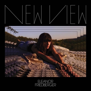 Eleanor Friedberger "New View"