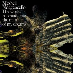 Me'shell Ndegeocello "The World Has Made Me The Man Of My Dreams"