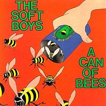 "A Can Of Bees" by The Soft Boys (1979)